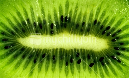 Kiwifruit Abstract