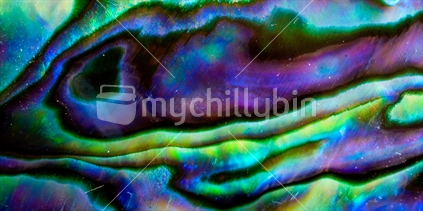 Paua Shell Abstract 1