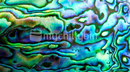 Paua Shell Abstract 3