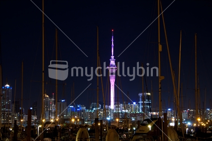Night Photo of Auckland Sky Tower and Skyline 1
