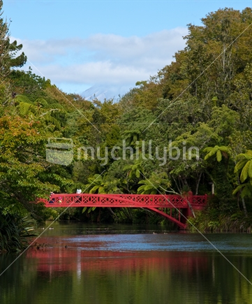 Poets Bridge across the lake at Pukekura Park, New Plymouth, Taranaki, with Mt Taranaki in background, New Zealand