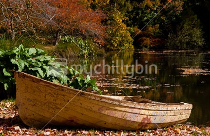 Rowing boat by the edge of the lake, with reflections; Waikato, New Zealand