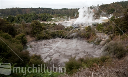 Mud pool at Whakarewarewa thermal valley, Rotorua, 