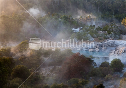 Morning mist, Rotorua, Whakarewarewa thermal valley, 