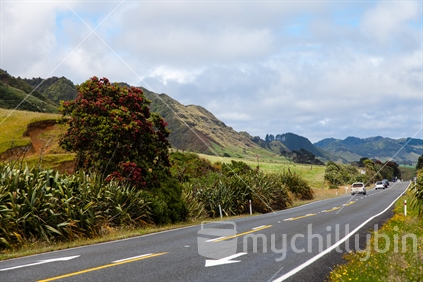 State Highway 3 near Mokau, complete with painted direction reminder arrows on the road.