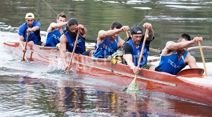 Waka Ama racing on the Waikato River, 