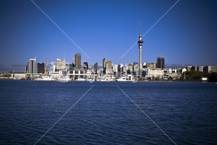Auckland city  

