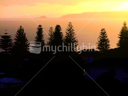 Sunrise over Orewa, Hibiscus Coast, Auckland, New Zealand