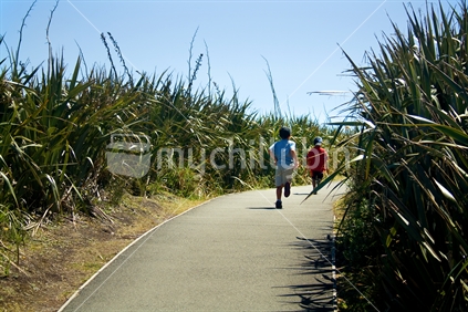 2 boys running along a path lined by flax bush