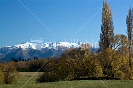Autumn landscape with snowcapped mountains, Canterbury, New Zealand