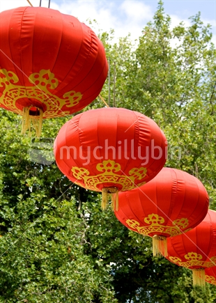 Red and gold Chinese lanterns, New Zealand