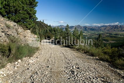 Rough and rocky road through a forest, New Zealand