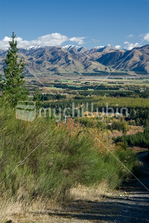 Hanmer Basin landscape, New Zealand