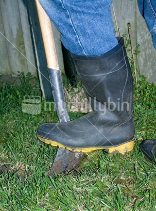 Gumbooted foot on shovel