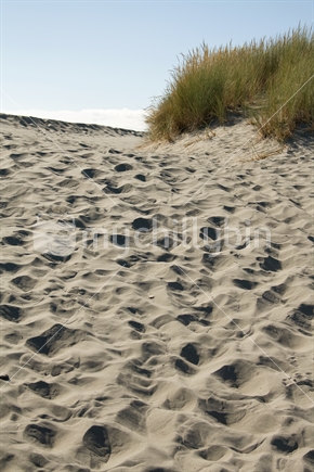 Track through sand dunes