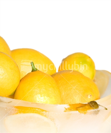 Lemon slice and kowhai flower Ice bowl, full of whole lemons