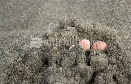 Toes peeping out of sand
