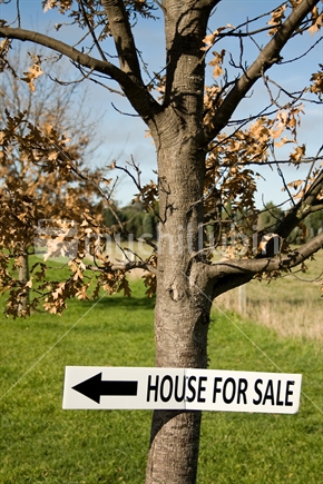"House For Sale" sign,