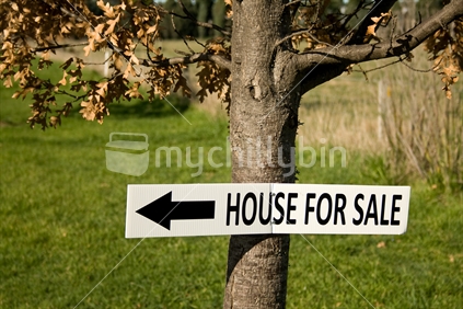 Arrow sign indicating a house for sale.