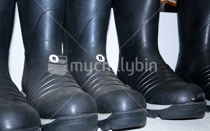 Lucky boots: brand new gumboots, size 8.