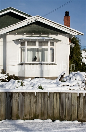 1920's Bungalow dwelling in the South Island in the snow, with cat warming inside in the sun.