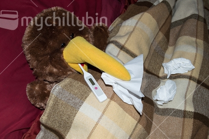 Sick (toy) kiwi lies in bed
