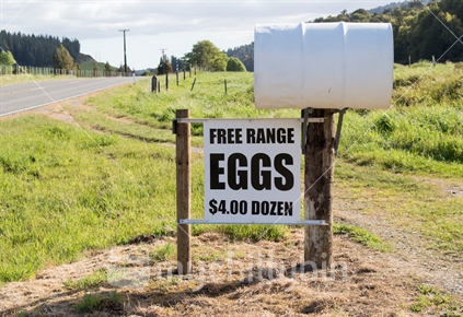 Sign for gate sales of free-range eggs.