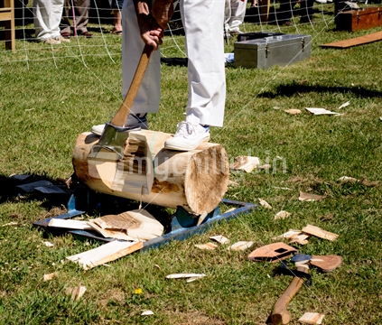 Wood chopping event