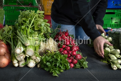 Person setting up vegetable stall at a Farmer's Market
