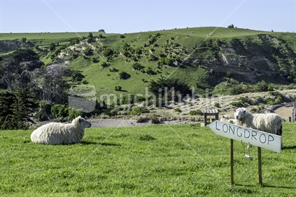 "Longdrop" sign with toilet paper roll below, on a hilltop paddock