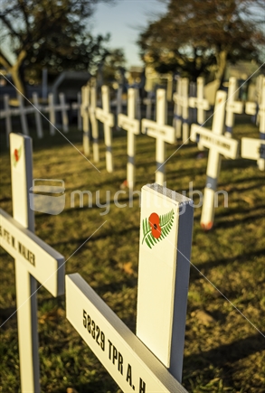 ANZAC Day crosses