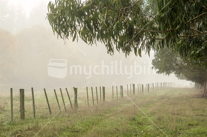 Foggy Morning On Rural Farmland