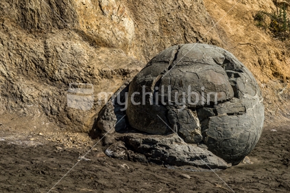 Crumbling "Moeraki boulder" against the cliff face at Moeraki