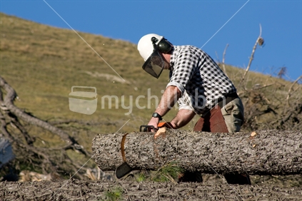 Man chainsawing a tree