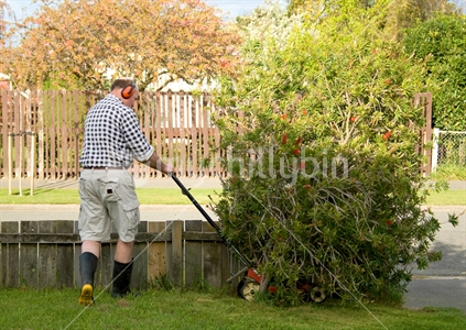 Man mowing the lawn
