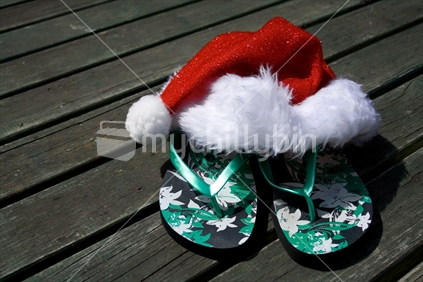 Kiwi Father Christmas Hat