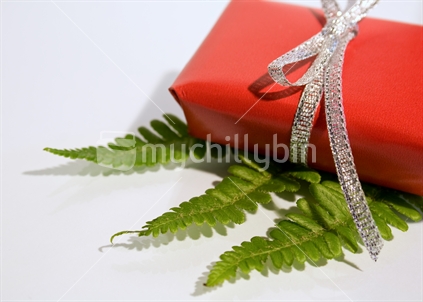 Gift in red and silver, with fern
