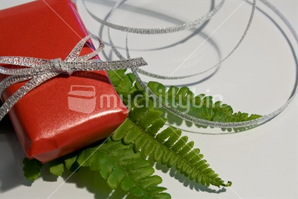 Christmas gift with fern and ribbon