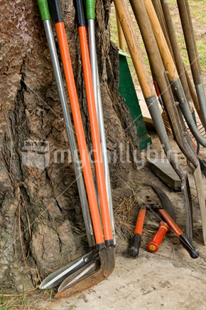 Selection of garden tools
