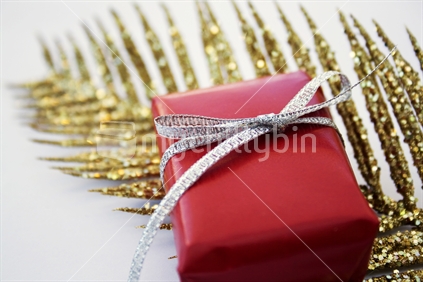 Gold fern with gift