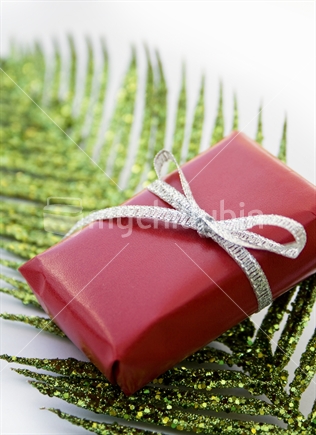 Glittering fern with gift
