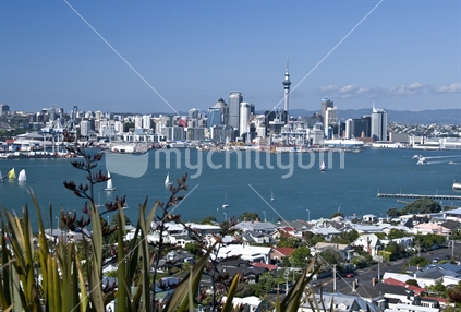 Auckland Skyline from Devonport, New Zealand