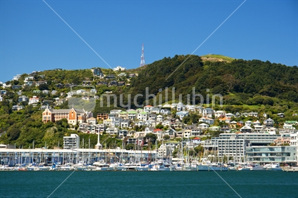 Looking over Lambton Harbour, Wellington City to  Mount Victoria and Chaffers Floating Marina 