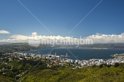 Wellington City and harbour from the Brooklyn hills looking north towards the Hutt Valley