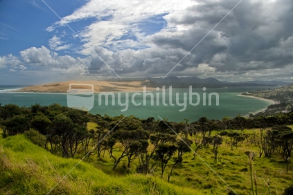 Windswept Manuka trees in the foreground of the entrance to the Hokianga Harbour, as storm clouds gather.
