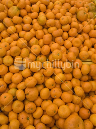 Bin of mandarin oranges at a farmer's market