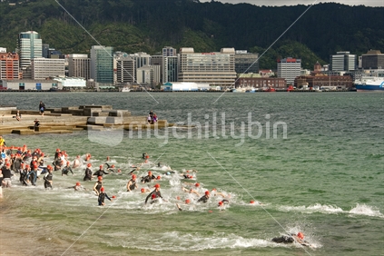 Start of an ocean swim race at Oriental bay, Wellington.