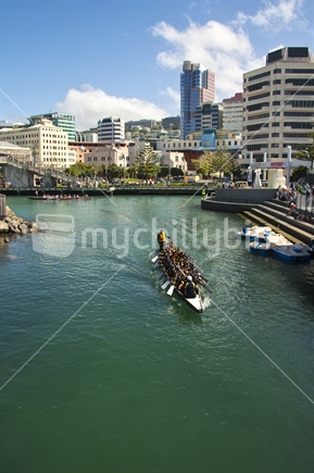 Dragon boats head toward the start of the race on Frank Kitts Lagoon, Wellington, New Zealand

