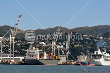 A container ship and a cruise liner at Wellington's port, New Zealand