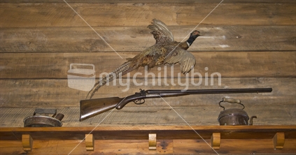 A wall display of an old gun and stuffed pheasant